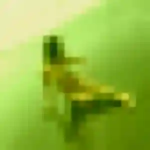Ivana, femme de 23 ans veut rencontre sexy à Saint-Louis