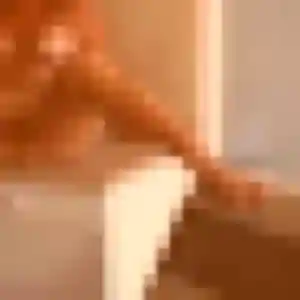 Photo privée de Samira, 30 ans à Saint-Lyphard - plan discret