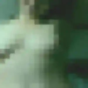 Photo de Blandine à Saint-Orens-de-Gameville (29 ans) - rencontre sexy anonyme