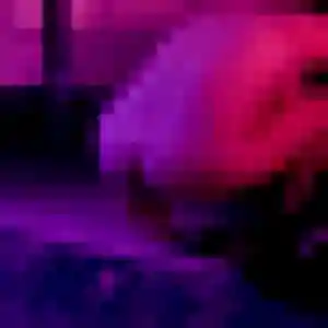 Clarisse (29 ans) à Saint-Pathus cherche un rencontre sexy rapidement