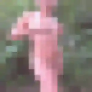 Photo perso de Erika, 43 ans à Sorgues - rencontre coquine