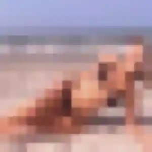 Violette, 36 ans, veut un rencontre sexy à Stiring-Wendel