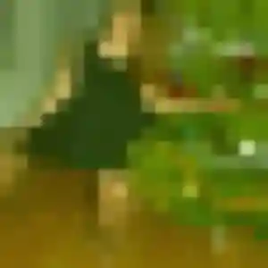 Photo sexy de Vicky, 32 ans à Surgères - rencontre sans lendemain