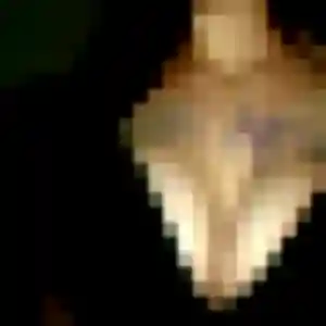 Profil de Salima à Trélazé (43 ans) - rencontre sexy anonyme