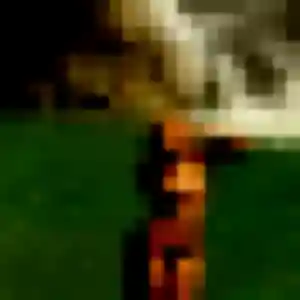 Photo privée de Alessandra, 23 ans à Tresses - rencontre coquine