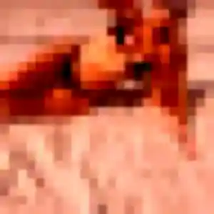 Photo de Bettina à Vedène (38 ans) - rencontre sexy sans inscription