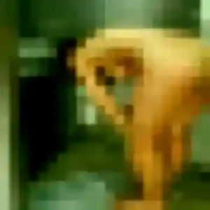 Ornella, 35 ans, dispo pour rencontre sexy à Vigneux-de-Bretagne