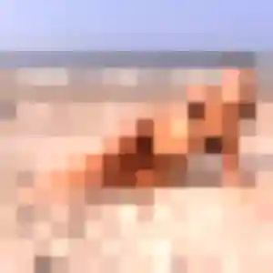 Photo sexy de Imane, 24 ans à Vigneux-sur-Seine - plan discret