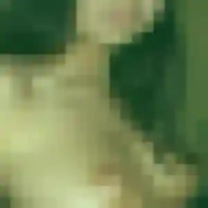rencontre sexy à Wervicq-Sud : profil de Nelly, 36 ans - inscription gratuite